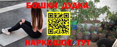 стафф Краснодар