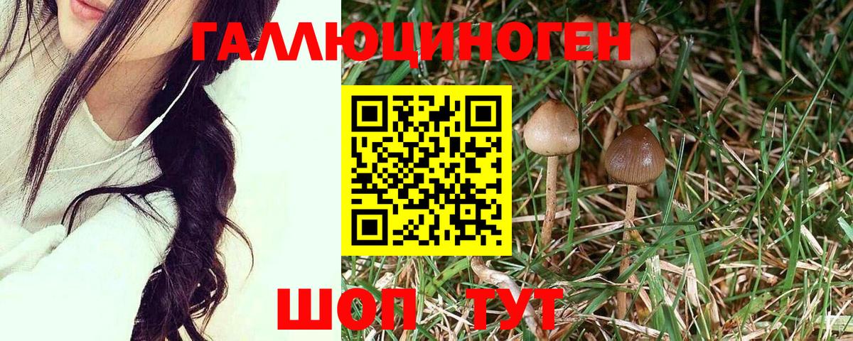 Заволжье  Псилоцибиновые грибы Magic Shrooms  Псилоцибиновые грибы мухоморы  Вход с VPN 