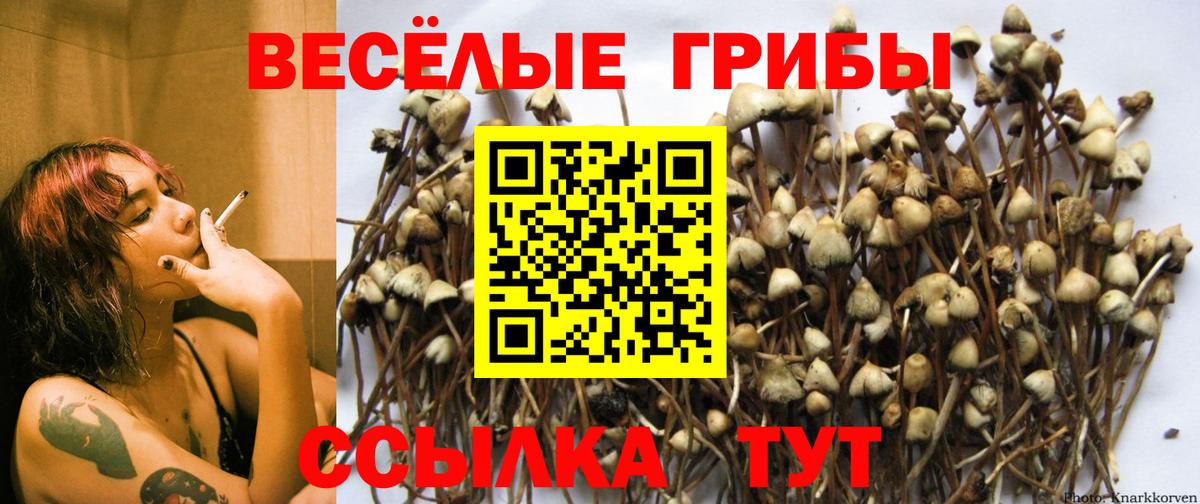 КОКАИН Заволжье